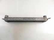 Ladeluftkühler Opel Meriva A () 52401015
