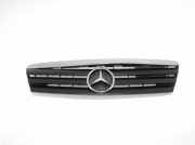Gitter MERCEDES-BENZ A (W168) A 170 CDI (168.008) 1688800083