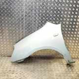 Kotflügel vorne links