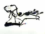 Kabel Tür vorne rechts SKODA ENYAQ iV SUV (5AC, 5AZ) 50 5LB971121AG