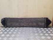 Ladeluftkühler FORD KUGA I 2.0 TDCi 4x4 6G919L440AE