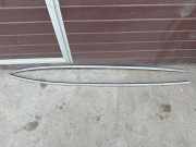 Dachleiste links BMW 1 (E87) 118 d