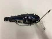 Türgriff rechts hinten BMW 3er (F30, F80) 61227332268