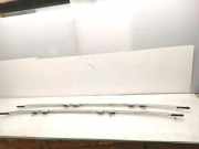 Dachreling links AUDI A6 Avant (4F5, C6) 3.0 TDI quattro