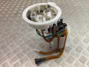 Kraftstoffpumpe BMW X1 (F48) 7300463