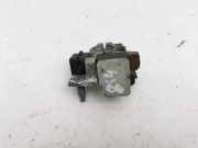 Massekabel Renault Zoe (BFM) 250825784R