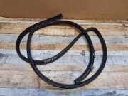 Türgummi links vorne Toyota Corolla Verso (R1)