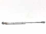 Heckklappendämpfer rechts VW Phaeton (3D)