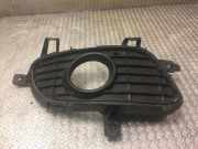 Gitter Grill vorne rechts MERCEDES-BENZ A (W169) A 180 CDI (169.007, 169.307) a1698850622 1698850622