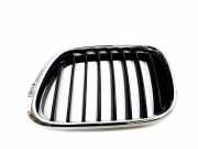 Kühlergrill komplett BMW X5 (E53) 8247673