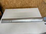 Türleiste hinten links MERCEDES-BENZ E (W210) E 200 CDI (210.007)
