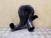 Luftansaugrohr NISSAN X-TRAIL (T30) 2.2 dCi 4x4