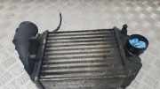Ladeluftkühler VW Passat B5 (3B2) 059145805