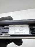 Türpolsterverkleidung hinten rechts MERCEDES-BENZ S (W221) S 450 (221.070, 221.170) A2217304622