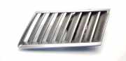 Gitter vorne unten RENAULT VEL SATIS (BJ0_) 3.0 dCi (BJ0J, BJ0N) 8200096824