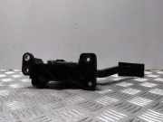 Gaspedal NISSAN PATHFINDER III (R51) 2.5 dCi 4WD 18002EB400