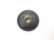 Power Steering Pump Pulley RENAULT MASTER III Furgon (FV) 2.3 dCi 100 FWD (FV0A, FV0B, FV0G, FV0K)
