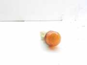 Kotflügelblinker vorne rechts FIAT TIPO (160_) 1.6 i.e. (160.AF) 0256301 43616