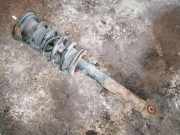 Stoßdämpfer vorne links LEXUS GS III (GRS19_, UZS19_, URS19_) 300 (GRS195_, GRS190_) 485103065