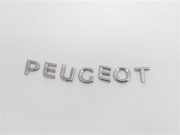 Emblem Peugeot Expert III Kasten (V)