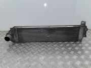 Ladeluftkühler Renault Scenic II (JM)