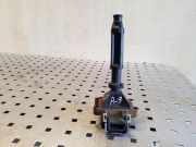 Zündspule AUDI A8 D2 (4D2, 4D8) 4.2 quattro 0040100012 077905105