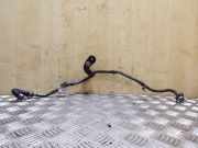 Schmierrohr für Nockenschmierung Land Rover Range Rover Sport (L320) 6H4Q6C820AB