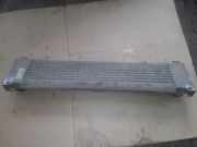 Ladeluftkühler Mercedes-Benz Vito/Mixto Kasten (W639) A6395010201