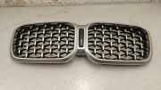 Vorderer oberer Gitter BMW X4 (G02, F98) xDrive20i 5A20762