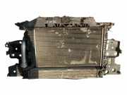 Armaturenbrett RENAULT GRAND SCÉNIC III (JZ0/1_) 1.5 dCi 752100007R