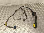 Türverkabelung hinten rechts RENAULT MODUS / GRAND MODUS (F/JP0_) 1.5 dCi (JP0G, JP0H) 8200219978