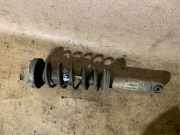 Stoßdämpfer links hinten BMW 6er (E63) 6766773