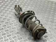 Stoßdämpfer vorne rechts TOYOTA AVENSIS VERSO (_M2_) 2.0 D (CLM20_)