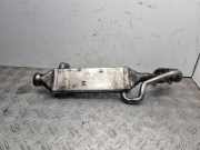 AGR-Kühler CHRYSLER 300 C Touring (LX) 3.0 CRD 16421400775