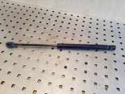 Heckklappe Gasdruckfeder links AUDI A8 D2 (4D2, 4D8) 4.2 quattro 4D0827551B