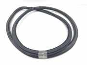 Türdichtungsgummi vorne links AUDI A1 Sportback (GBA) 25 TFSI