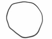 Türdichtung Mercedes-Benz R-Klasse (W251) A2517400778