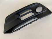 Kühlergrill unten Audi Q5 (8R) 80A807681A