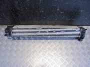 Ladeluftkühler Renault Scenic III (JZ) 144960006R