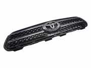 Gitter Grill vorne links TOYOTA RAV 4 III (_A3_) 2.2 D 4WD (ALA30_) 5310142310