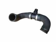 Schlauch Kühlung BMW X5 (F15, F85) sDrive 25 d 11538645479
