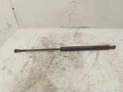 Heckklappendämpfer rechts Toyota Avensis (T25) 6895005072