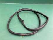 Dichtungsgummi der hinteren Tür (an der Karosserie) TOYOTA COROLLA Verso (ZER_, ZZE12_, R1_) 2.0 D-4D (CUR10_) 6233213040