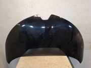 Motorhaube RENAULT ZOE (BFM_) ZOE 651221804R
