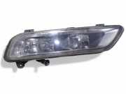 Nebelscheinwerfer vorne rechts VW PASSAT B7 (362) 2.0 TSI