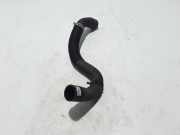 Kühlerschlauch Renault Kangoo II - Grand Kangoo (KW0) 8200795019