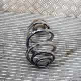 Federblatt links hinten BMW Z4 (E89)