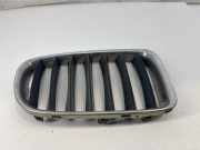 Vorderer oberer Gitter BMW X1 (E84) sDrive 18 d 2993308