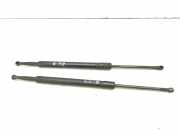 Heckklappendämpfer links Nissan Pathfinder III (R51) 90450EB31B