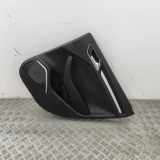 Türpolster hinten rechts